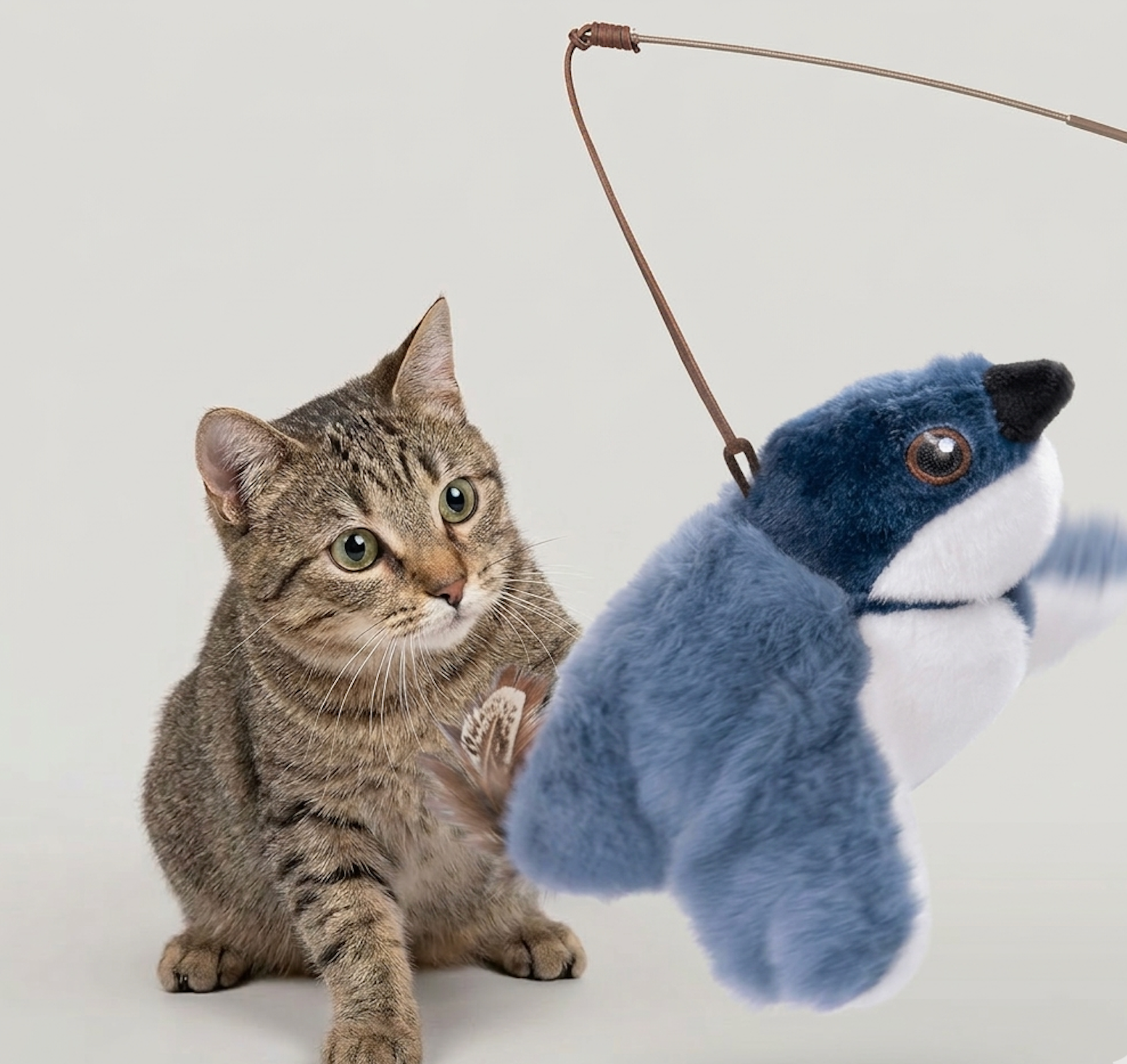Flapping Bird Cat Toy Karis Fashions